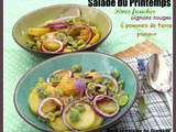 Salade du Printemps : fèves, pommes de terre, oignons rouges… – Vegan