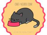 Chat Niaou: Le blog 100% chat