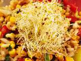 Energique Salade de Pates
