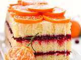 Gâteau orange canneberge