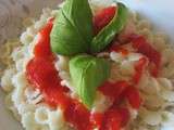 Coulis aux poivrons