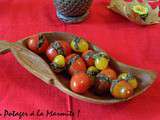 Tomates cerises enrobées de tapenade d'olives noires