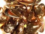 Moules à la Crème de Coco et Citron Vert (Nouvelle Zélande)