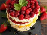 Rainbow cake aux fruits