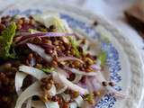 Salade de lentilles blondes, fenouil et oignon rouge