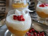 Tapioca au lait de coco, purée mangue banane et grenade