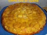 Mi-gâteau Mi-brioche aux pommes et caramel au beurre salé à la noisette