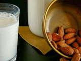 Comment réaliser son lait d’amandes maison ? (Tutoriel avec ou sans sac à lait végétal)