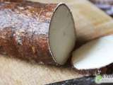 Atelier: Les semoules sans gluten issues du manioc, le gari et l’attiéké