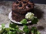 Layer cake au chocolat au mascarpone et aux mûres