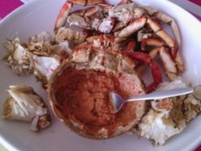 Recettes d'Araignée de Mer