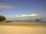 Palourdes du Gois farcies au beurre d ail
