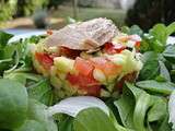 Salade de courgettes crues et filet de thon