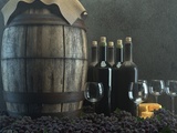 5 bonnes raisons de consommer du vin bio