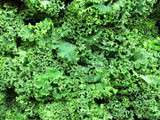 Kale salad