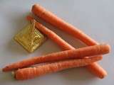 Mousse de carottes au siphon