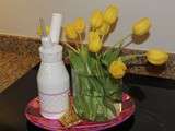 Mousses au siphon