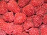 Sorbet framboises Thermomix ou Robot blender