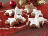 Zimtsterne, étoile à la cannelle, biscuits de Noël {sans gluten}