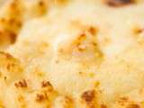 Coquille St-Jacques dépoussiérée