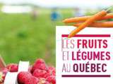 Fruits et légumes du Québec par saison et la durée de conservation