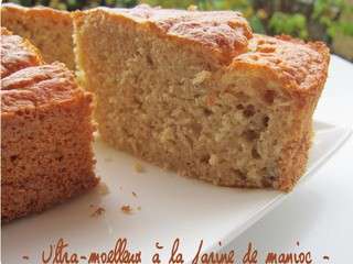Ultra -moelleux à la farine de manioc (gâteau sans gluten)