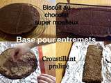 Biscuit moelleux au chocolat et croustillant praliné
