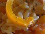 Risotto de petites pâtes qui se prenait pour un poulet basquaise