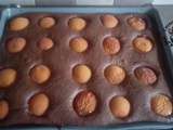 Gâteau abricots et chocolat