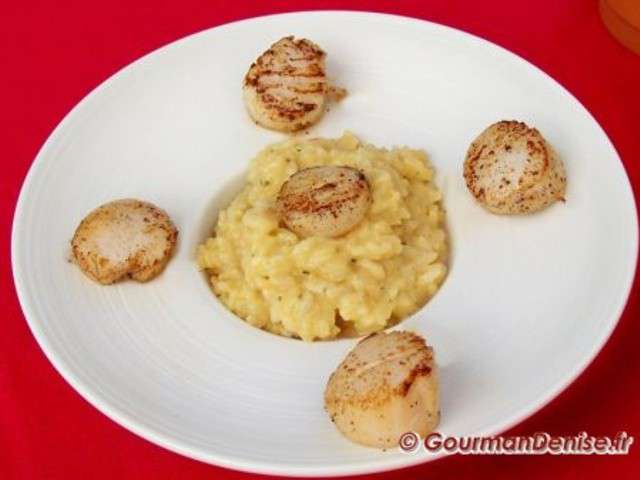 Recettes De Coquilles Saint Jacques De Gourmandenise