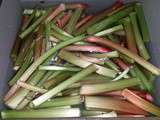 Confiture de rhubarbe - abricot