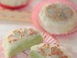 Gâteau de lune véritable mooncake