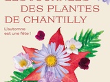 Journées des Plantes de Chantilly les 8, 9 et 10 octobre prochains : l'Automne est une Fête