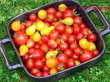 Récap d'idées avec les Tomates