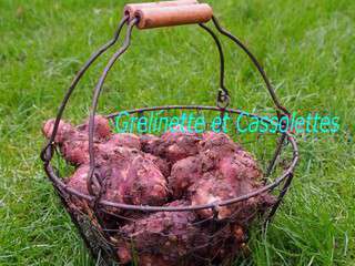 Topinambour et Digestion