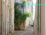 Vues de l'Ile de Ré