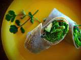 Wraps végés et noglu