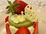 Fraisier du jardin printanier - 春のお庭のフレジエ