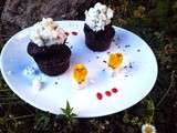 Cup cake choco ~ coco ~ coeur de fruits rouges, ig bas
