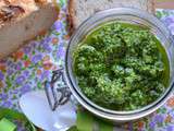 Pesto ail des ours et noix de pécan