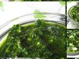 Pestos d'ail des ours