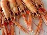 Langoustines – 10′ chrono