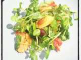 Salade de cresson aux gnocchis de mascarpone