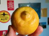 Macarons au citron bergamote