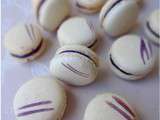 Macarons à la Myrtille par le blog Rock The Bretzel