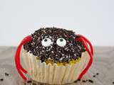 Spider Cupcake