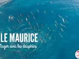 Réaliser un rêve : Nager avec les dauphins à l’Ile Maurice