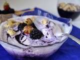 Glace au yaourt grec mûres sauvages et fraises