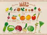 Rendez vous mensuel , les fruits et les légumes de saison