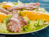 Aiguillettes de canard à la mangue sur lit de salade